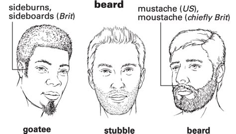 stubble meaning in spanish